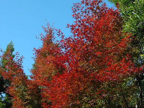 a0024250_19393170.jpg
