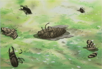 a0008459_0112244.gif