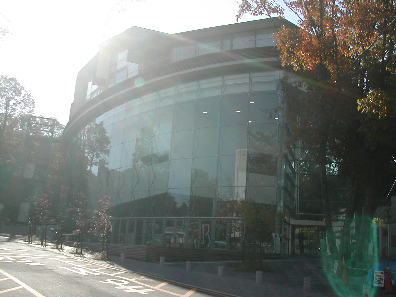 c0001060_2331483.jpg