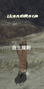 b0003371_218165.gif