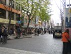 b0032476_335319.jpg