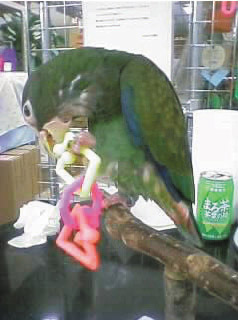 c0004078_17355928.jpg
