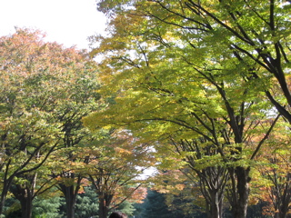 a0027280_22131851.jpg