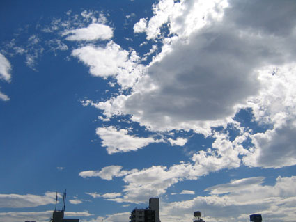 c0004193_17333349.jpg