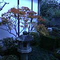 b0030935_2305683.jpg