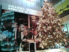 b0029438_129132.jpg