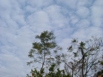 b0058229_9455782.jpg