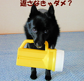 a0009750_11354220.jpg