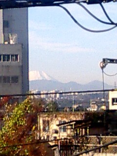 a0013479_842292.jpg