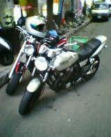 c0005904_73016.jpg