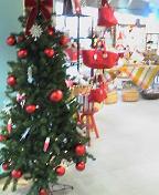 b0026385_21502051.jpg