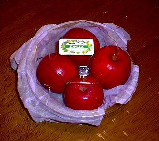 b0003270_0515669.jpg