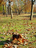 a0035678_0321644.jpg