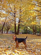 a0035678_0333274.jpg
