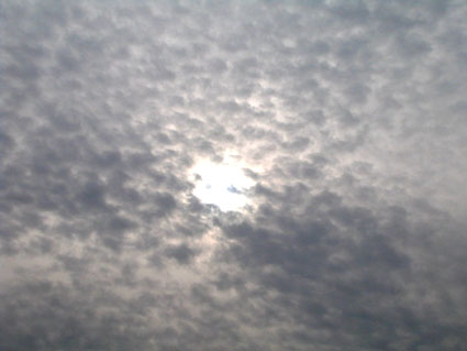 c0004193_1673067.jpg