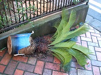 a0027014_1949558.jpg