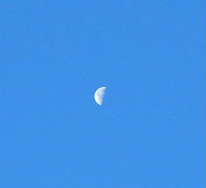 b0015260_7404934.jpg