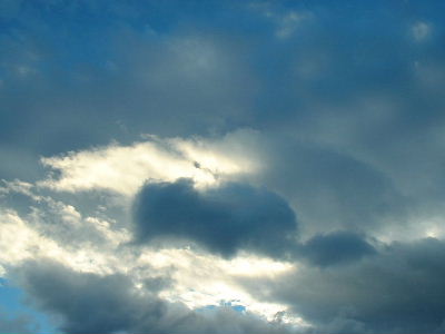 b0015260_740511.jpg