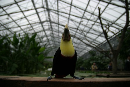 a0001562_2148369.jpg