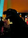 b0058686_042532.jpg