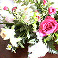 b0030935_8451162.jpg