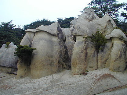 a0009750_10531886.jpg