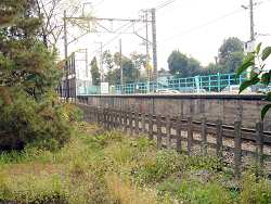 c0001653_036167.jpg
