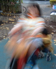 b0009665_032479.jpg
