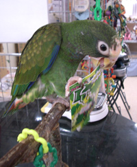 c0004078_18371251.jpg