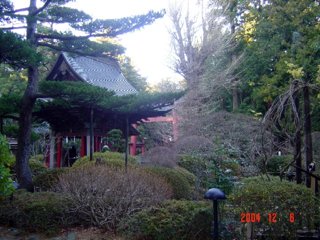 a0005691_16443931.jpg