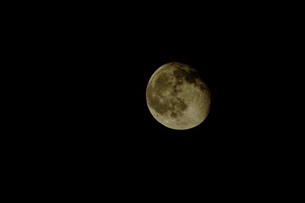 a0030792_2443555.jpg
