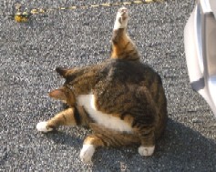 c0006827_12501532.jpg