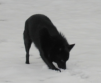 a0009750_17152276.jpg