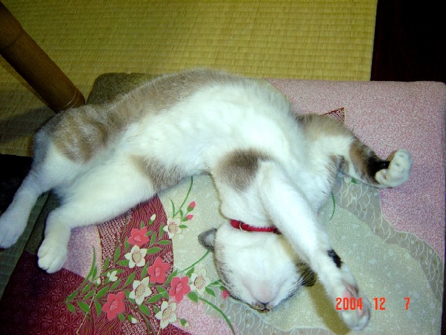 a0005691_043941.jpg
