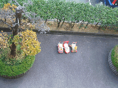 b0067598_0302865.gif