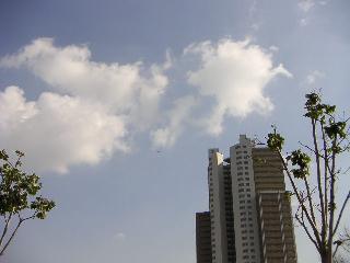 a0018200_19384766.jpg