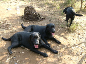 c0007787_033529.jpg