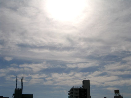 c0004193_1522565.jpg