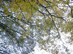 b0056518_2312620.jpg