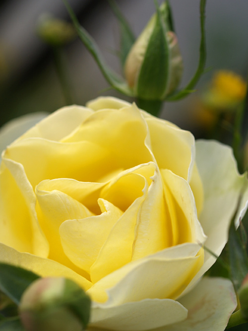 a0003746_14442100.jpg