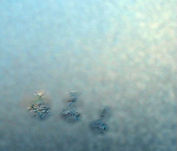 b0015260_843115.jpg
