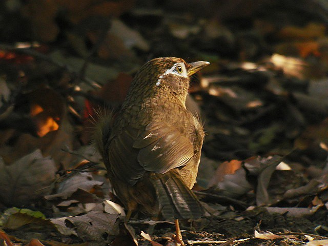 b0069564_1948232.jpg