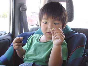 c0009070_10431443.jpg