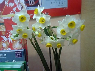a0027720_21303567.jpg