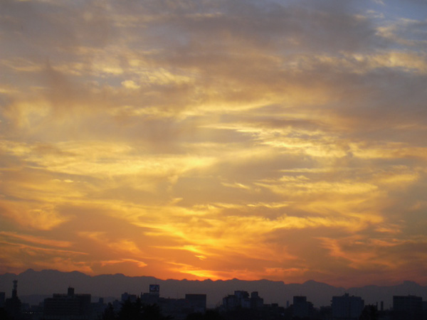 a0001354_2022386.jpg