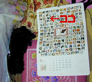 a0009750_22225729.jpg
