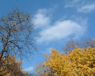 b0009665_051667.jpg