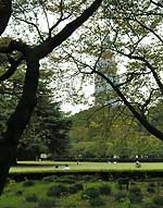c0009981_0495772.jpg