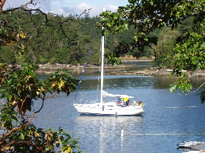 b0051109_602852.jpg