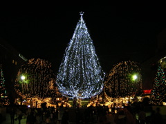 b0053414_13114476.jpg